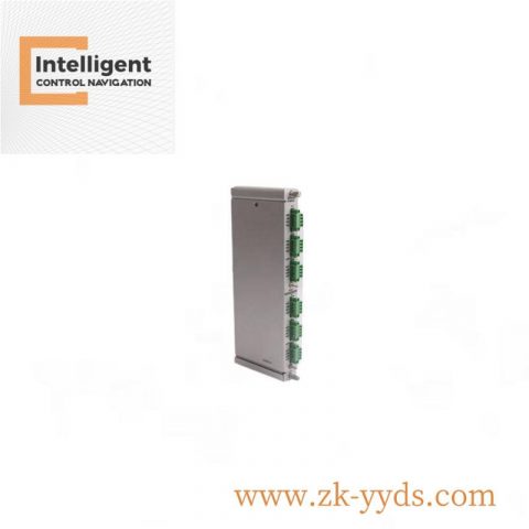 BENTLY 21504-00-12-05-02 - Advanced Vibration Monitoring System for Industrial Control