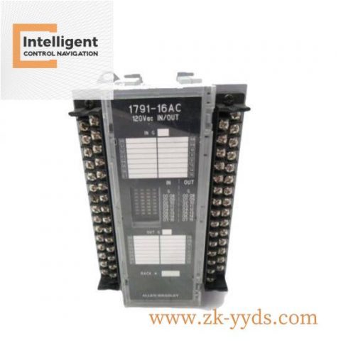 Rockwell Automation 179116 Control Module, 200 Characters Limit