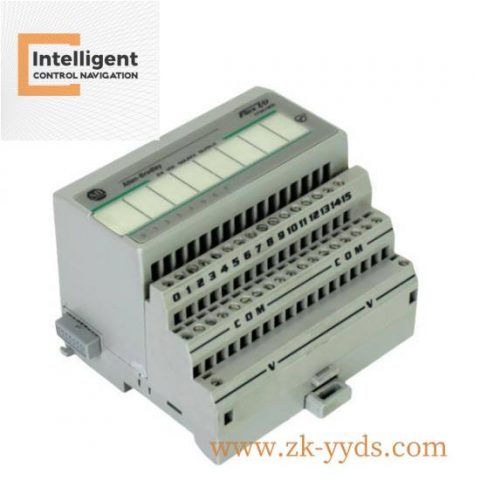 Allen-Bradley 1794-OB8 Flex I/O | DC Output Module, 8-Channel Sourcing Module for Industrial Automation