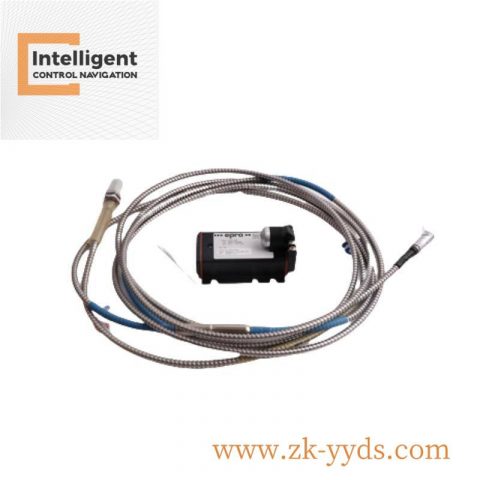 Emerson IC758CSWA10PCZR 10" RXi Panel PC - 4GB RAM, 32GB SSD, Windows 10 IoT Enterprise LTSB, Widescreen