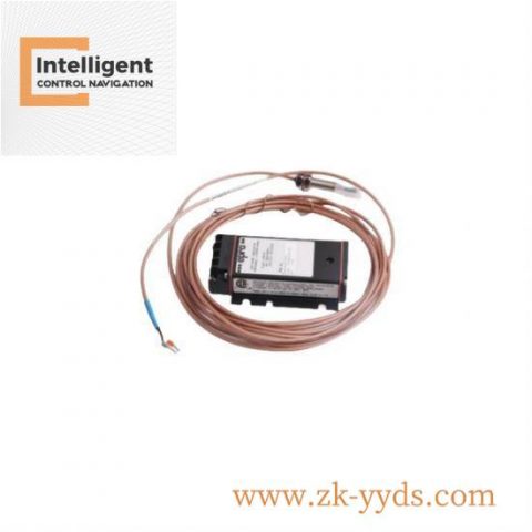 EMERSON 5A26129G01 Industrial Control Module