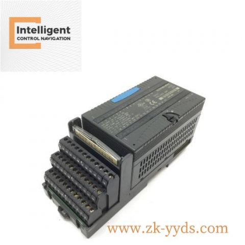 GE IC200PWR202LT Industrial Power Module