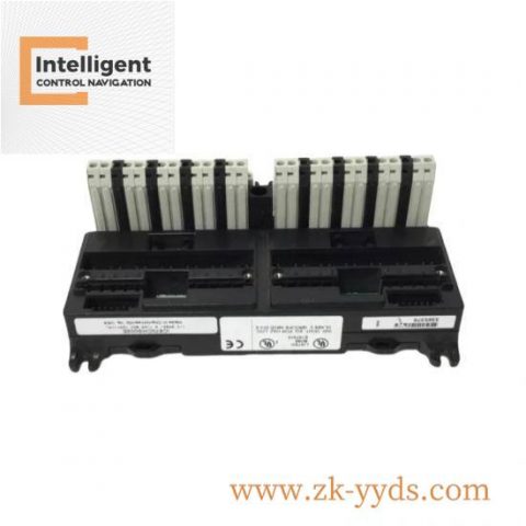 GE IC695ALG600-AB Analog Input Module