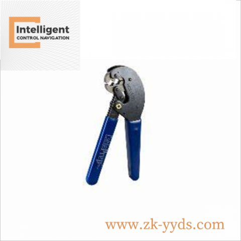 FIFE SE-31, Advanced Process Control Module