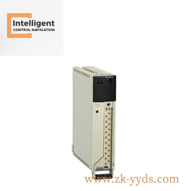 schneider_i_tsxasy410_074803_module.jpg ACME Corp Model 20-750-2262C-2R Control Module