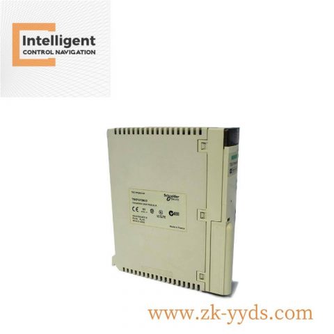 Schneider AS-521P-111 Industrial Control Module, 184 Characters
