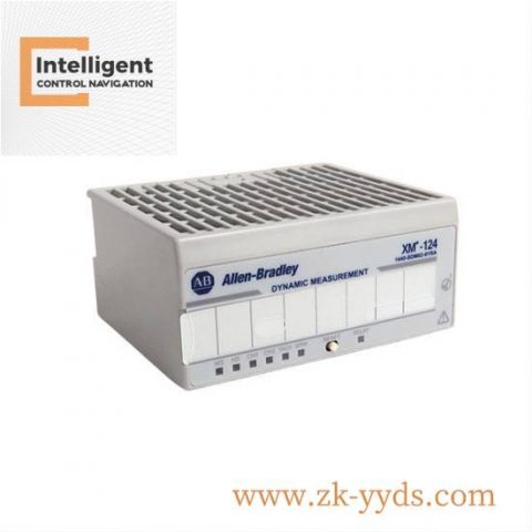 Rockwell Automation 1440-SDM02-01RAXM-124 Dynamic Measurement Module