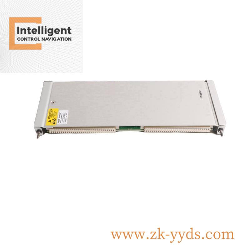Bently Nevada 172109-01 16-Channel Temperature I/O Module