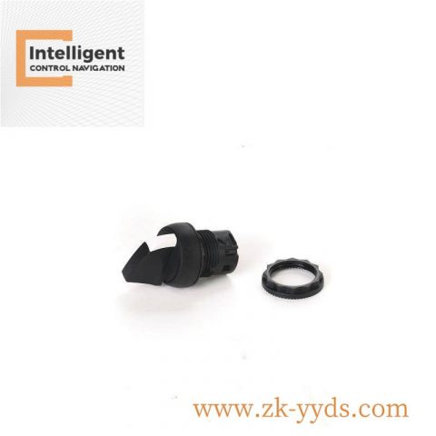 ABB 800XP-SM32 Standard Orientation: High Performance Industrial Automation Module