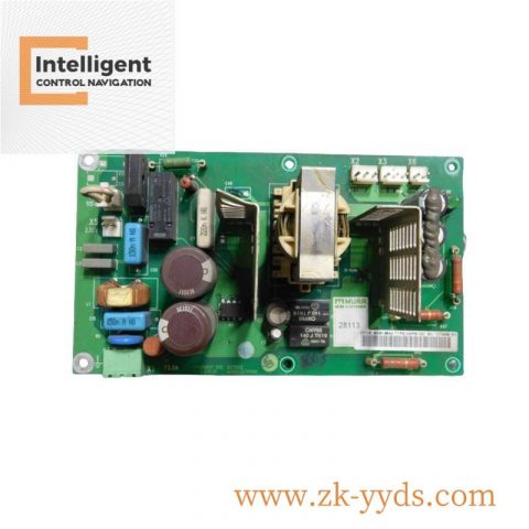 ABB NINP-21C Advanced Input Protection Card - Robust Industrial Protection