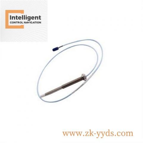 FOXBORO P0917XQ System Module New