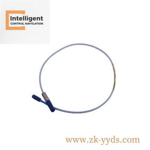 Bently 7200-EIPP Real-Time Monitoring and Protection Module