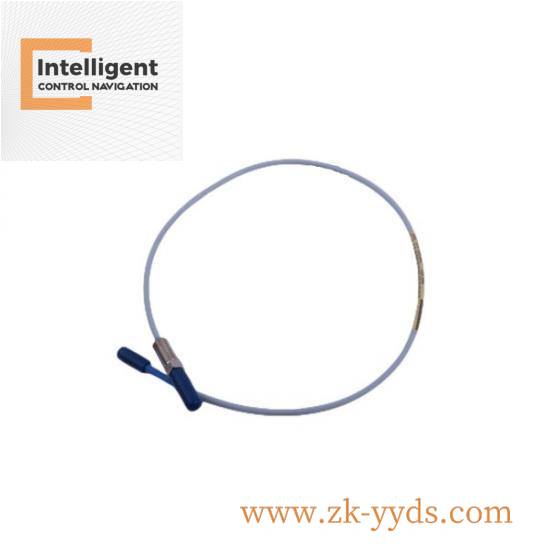 bently_nevada_jnj5300-08-06-005-030-05-00-00-03_cable.jpg Bently 7200-EIPP Real-Time Monitoring and Protection Module