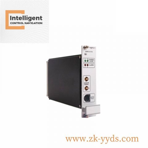 Emerson 3A99163G05 Control Module, Designed for Industrial Automation