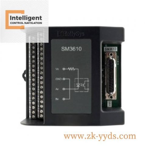 HOLLYSYS SM3610 Electric Programmable Logic Controller (PLC), Industrial Automation Module