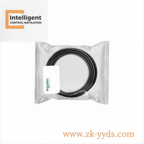 Schneider VDI64555 - Advanced Industrial Control Module