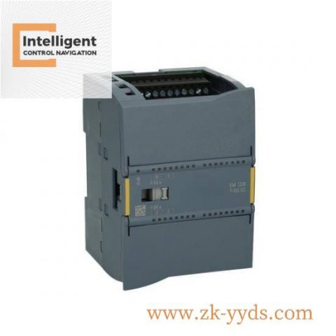 SIEMENS 6ES7226-6DA32-0XB0 Modular Digital Output Module