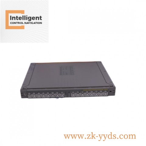 ICS Triplex TC200 Advanced Off-the-shelf Modules for Industrial Automation