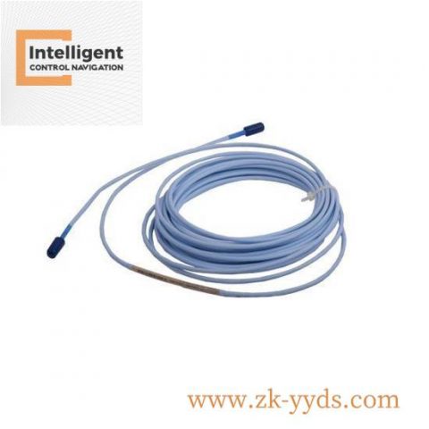 BENTLY 22810-01-05-50-02 Vibration Monitoring System