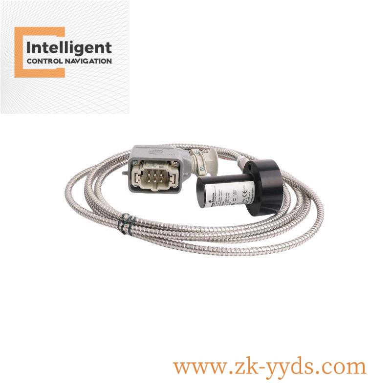 emerson_ce4001s2t2b4_3.jpg EMERSON CE4001S2T2B4 Advanced Control Module