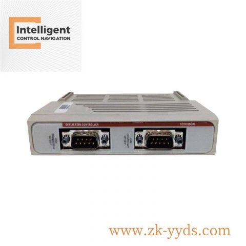 EMERSON 1C31169G02 Energy Efficient Module