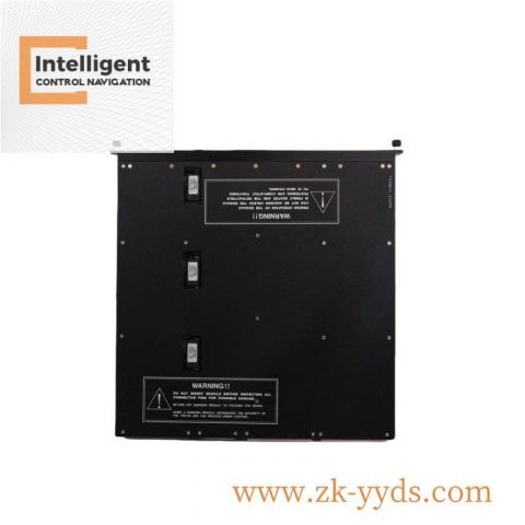 TRICONEX 4201 DO4201 Digital Output Module